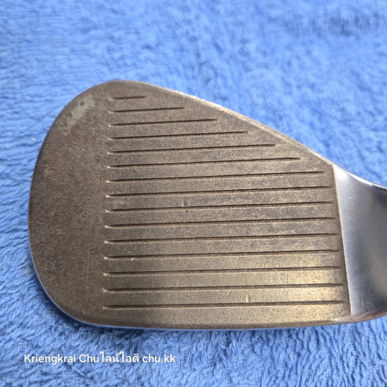 WEDGE 52 JAWS RAW ( LADY )