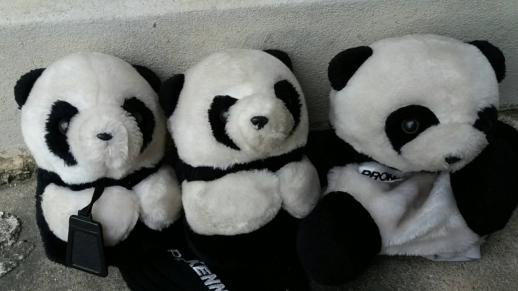 Cover Woods 1,3,5 มือสอง สภาพดี  700 บาท รวมส่ง