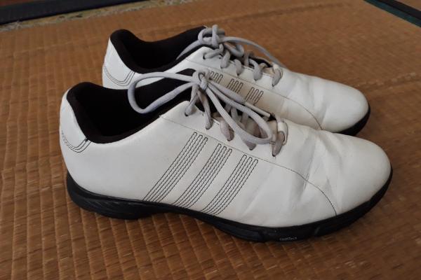 +++ขายรองเท้ากอฟล์ adidas จากคนญี่ปุ่นครับ+++